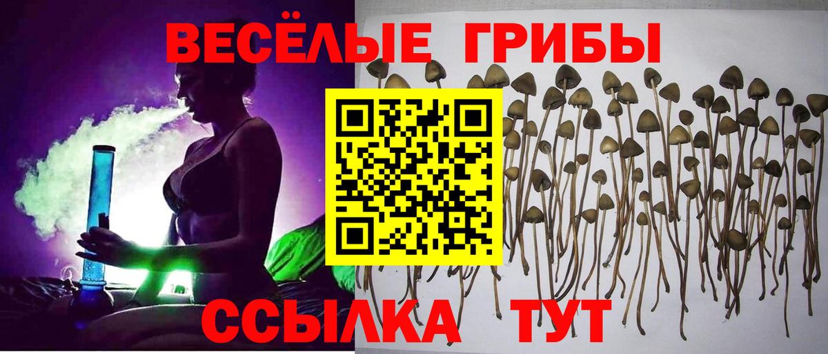 Галлюциногенные грибы GOLDEN TEACHER  купить наркоту  Искитим  Вход с VPN  Галлюциногенные грибы мухоморы 